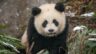 Test 5 Test 5